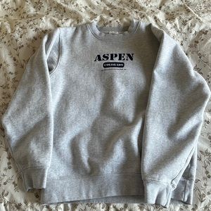 Brandy Melville Gray Aspen Sweatshirt